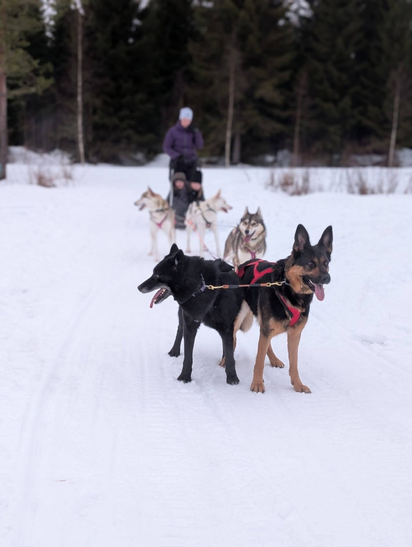 Photo: Kaisa Huhtaniemi